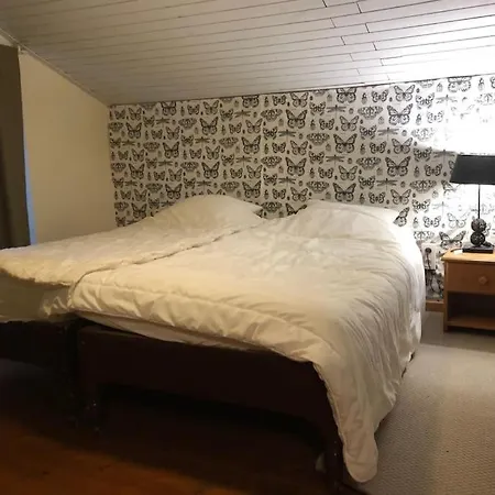 Chez Le Roi Du Bois *
