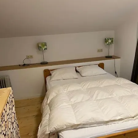 Holiday home Chez Le Roi Du Bois Vielsalm