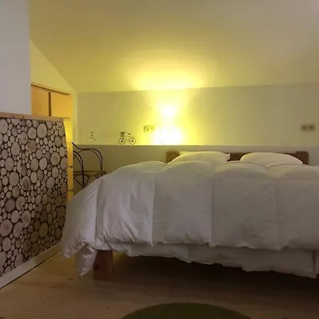 Holiday home Chez Le Roi Du Bois Vielsalm